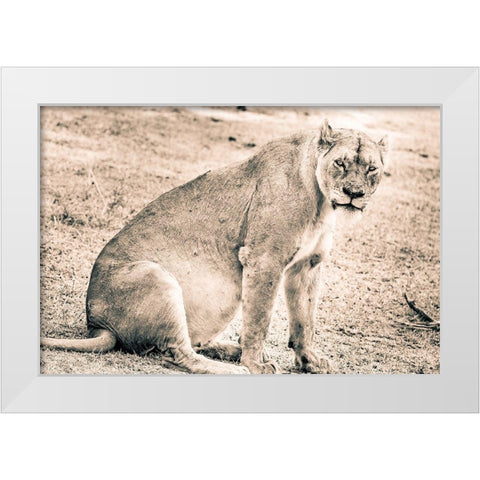 Liom-Mom White Modern Wood Framed Art Print by Seifinger, Toby