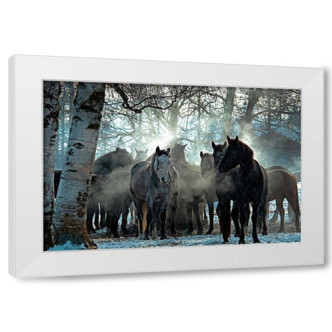 Horses in the Mist White Modern Wood Framed Art Print by Stalowy, John