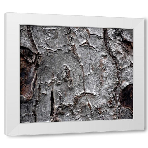 Tree Bark White Modern Wood Framed Art Print by Stalowy, John
