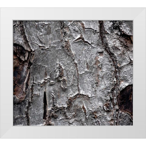 Tree Bark White Modern Wood Framed Art Print by Stalowy, John