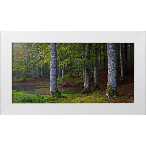 Forest 801 White Modern Wood Framed Art Print by Palacios, J.A.