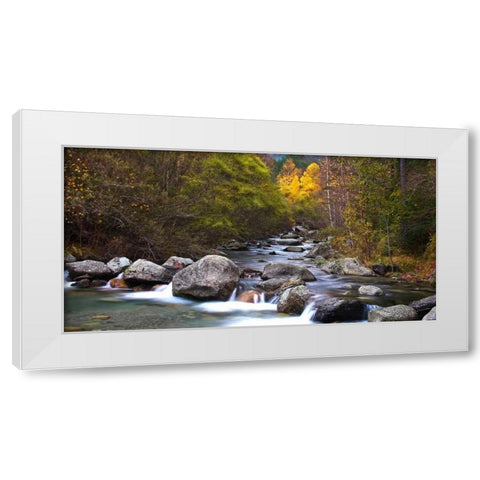 Forest and river 802 White Modern Wood Framed Art Print by Palacios, J.A.