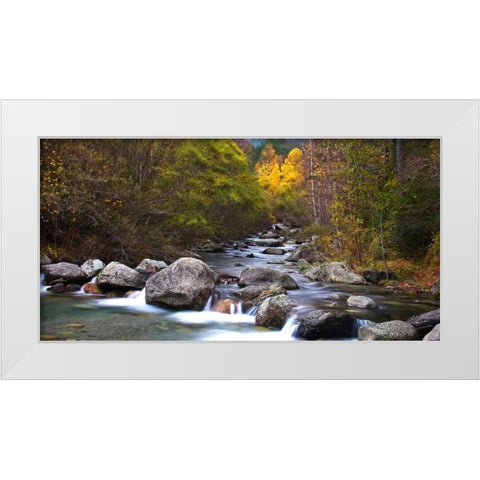 Forest and river 802 White Modern Wood Framed Art Print by Palacios, J.A.
