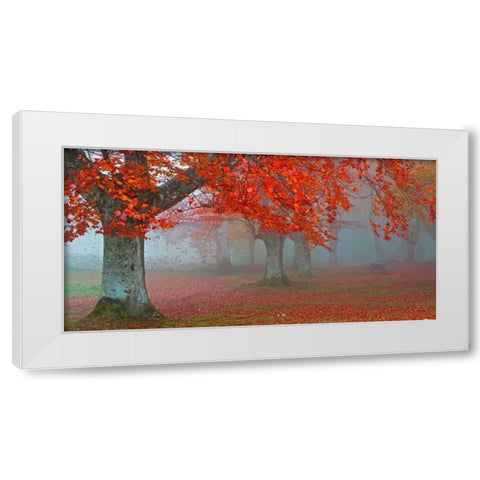 Red forest 804 White Modern Wood Framed Art Print by Palacios, J.A.