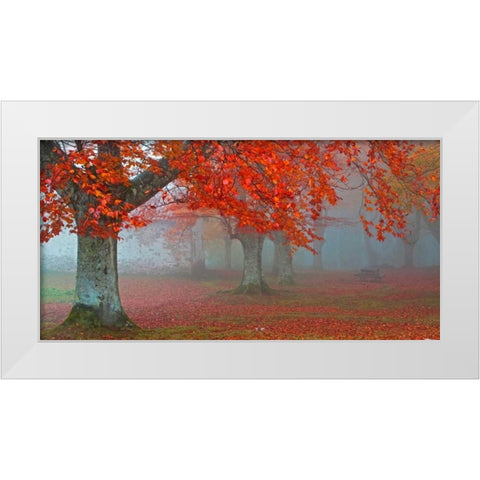 Red forest 804 White Modern Wood Framed Art Print by Palacios, J.A.