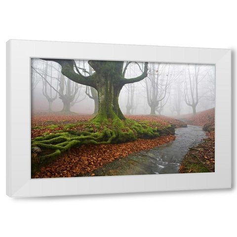 Forest 817 White Modern Wood Framed Art Print by Palacios, J.A.
