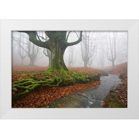 Forest 817 White Modern Wood Framed Art Print by Palacios, J.A.