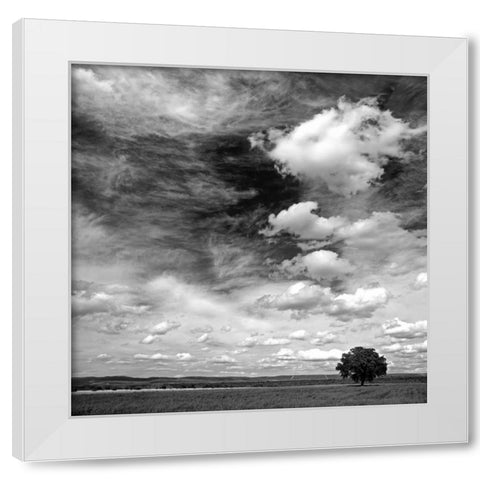 Black and white field 841 White Modern Wood Framed Art Print by Palacios, J.A.