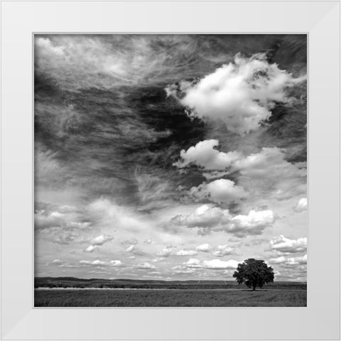Black and white field 841 White Modern Wood Framed Art Print by Palacios, J.A.