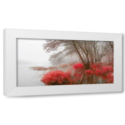 Foggy swamp 837 White Modern Wood Framed Art Print by Palacios, J.A.