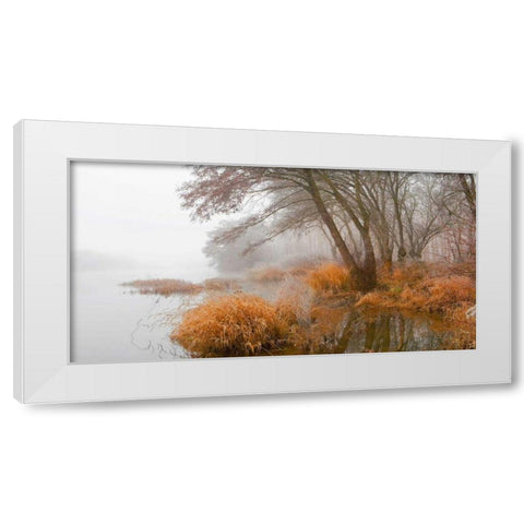 Foggy swamp 836 White Modern Wood Framed Art Print by Palacios, J.A.