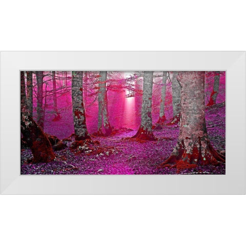 Forest and sunbeam 822 White Modern Wood Framed Art Print by Palacios, J.A.