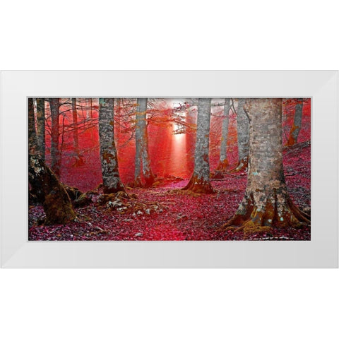 Forest and sunbeam 821 White Modern Wood Framed Art Print by Palacios, J.A.