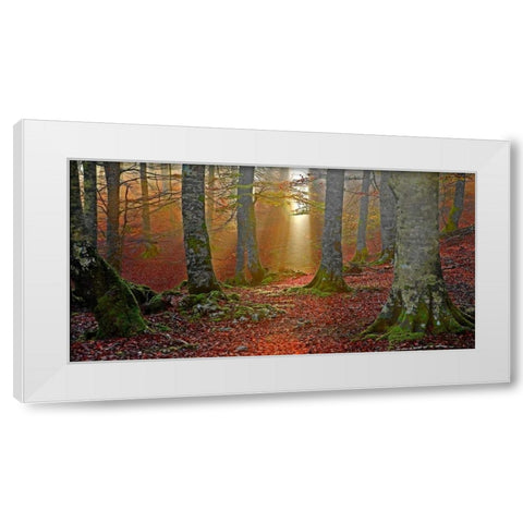 Forest and sunbeam 820 White Modern Wood Framed Art Print by Palacios, J.A.