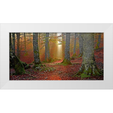 Forest and sunbeam 820 White Modern Wood Framed Art Print by Palacios, J.A.