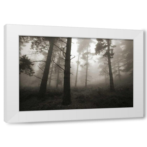 Invasion White Modern Wood Framed Art Print by Vera, Urtzi