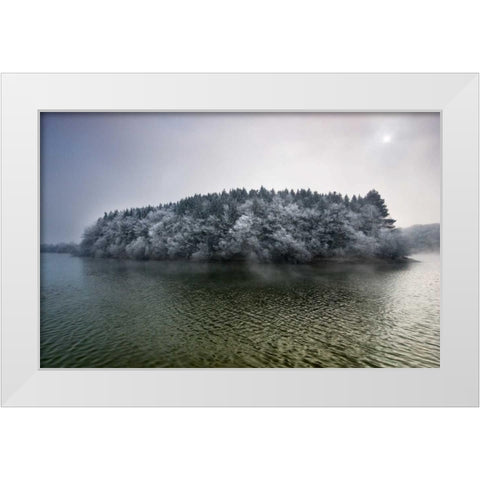 Winter in the swamp White Modern Wood Framed Art Print by Vera, Urtzi