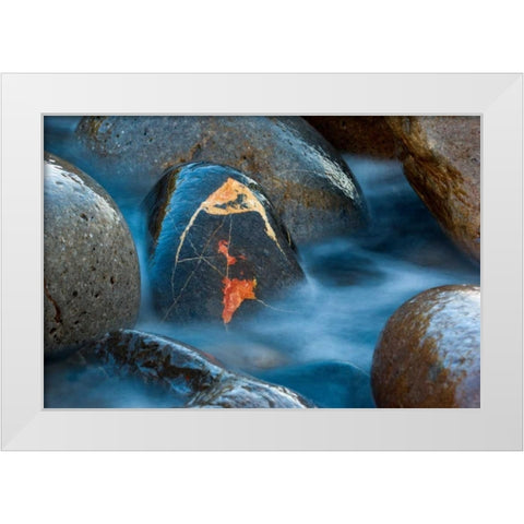 The jewel White Modern Wood Framed Art Print by Vera, Urtzi