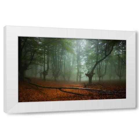Spring II White Modern Wood Framed Art Print by Vera, Urtzi