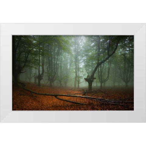 Spring II White Modern Wood Framed Art Print by Vera, Urtzi