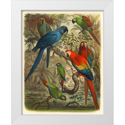 Cassel Tropical Birds III White Modern Wood Framed Art Print by Cassel