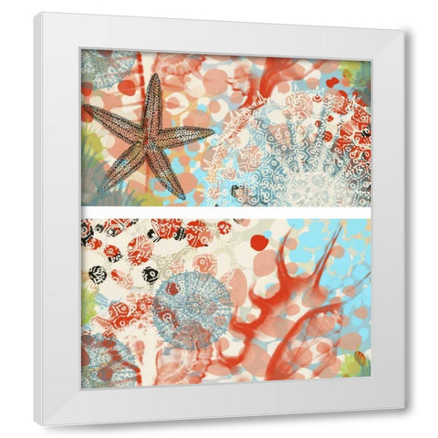 Butterfly MÃ©lange IV White Modern Wood Framed Art Print by Unknown