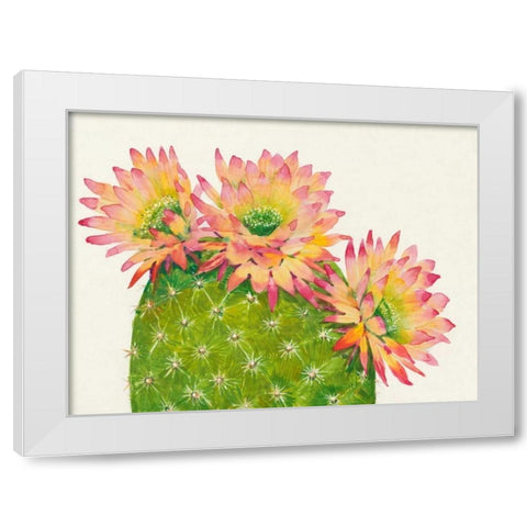 Desert Blossoms I White Modern Wood Framed Art Print by OToole, Tim