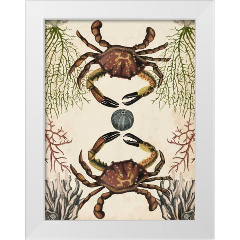 Antiquarian Menagerie - Crab White Modern Wood Framed Art Print by McCavitt, Naomi