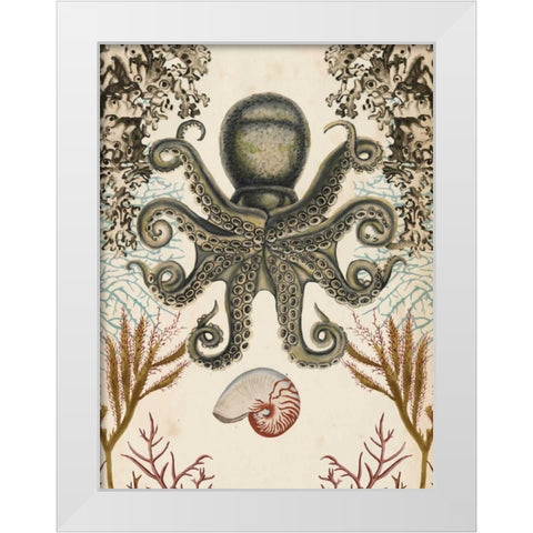Antiquarian Menagerie - Octopus White Modern Wood Framed Art Print by McCavitt, Naomi