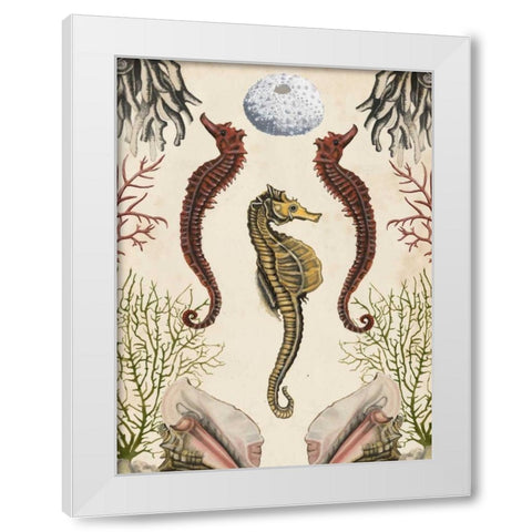 Antiquarian Menagerie - Seahorse White Modern Wood Framed Art Print by McCavitt, Naomi