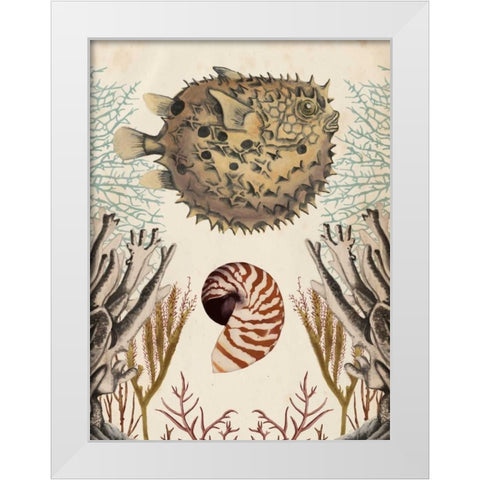 Antiquarian Menagerie - Puffer Fish White Modern Wood Framed Art Print by McCavitt, Naomi