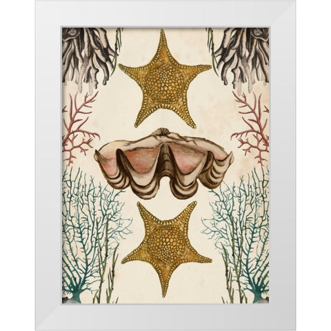 Antiquarian Menagerie - Starfish White Modern Wood Framed Art Print by McCavitt, Naomi
