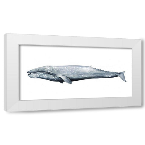 Whale Portrait IV White Modern Wood Framed Art Print by Popp, Grace