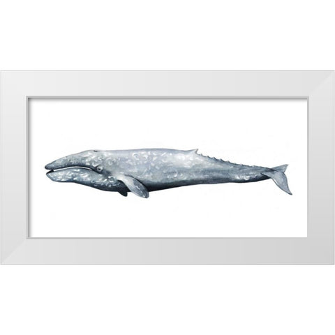 Whale Portrait IV White Modern Wood Framed Art Print by Popp, Grace