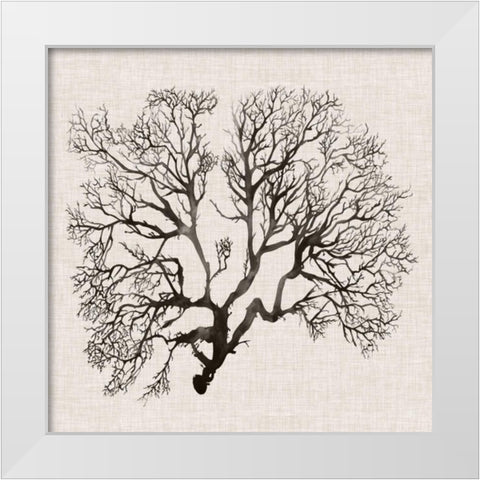 Shadow Sea Fan III White Modern Wood Framed Art Print by Popp, Grace