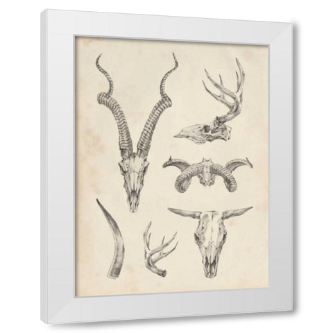 Skull and Antler Study I White Modern Wood Framed Art Print by Harper, Ethan