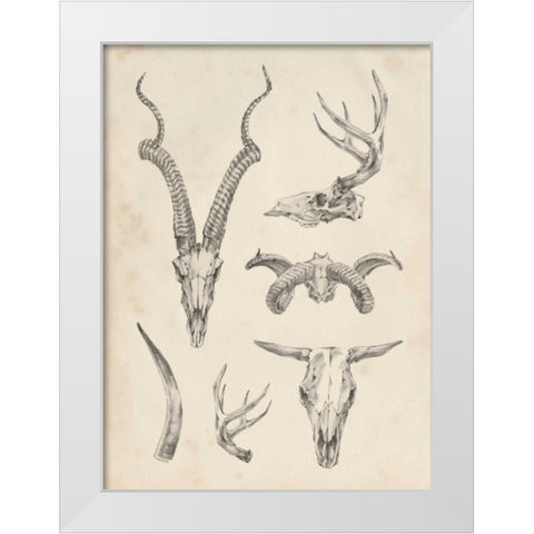 Skull and Antler Study I White Modern Wood Framed Art Print by Harper, Ethan