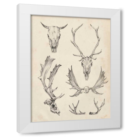 Skull and Antler Study II White Modern Wood Framed Art Print by Harper, Ethan