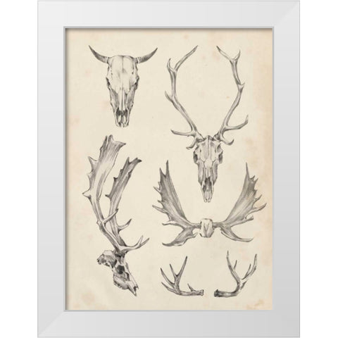Skull and Antler Study II White Modern Wood Framed Art Print by Harper, Ethan