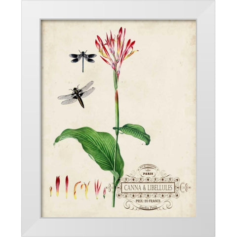 Canna and Dragonflies II White Modern Wood Framed Art Print by Vision Studio