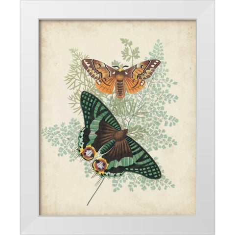 Butterflies and Ferns I White Modern Wood Framed Art Print by Vision Studio