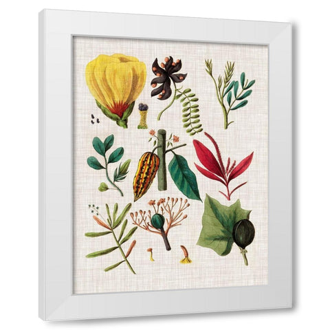 Floral Assemblage I White Modern Wood Framed Art Print by Vision Studio