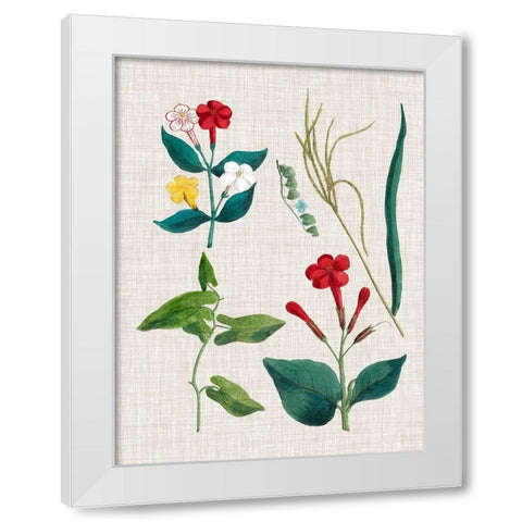 Floral Assemblage III White Modern Wood Framed Art Print by Vision Studio