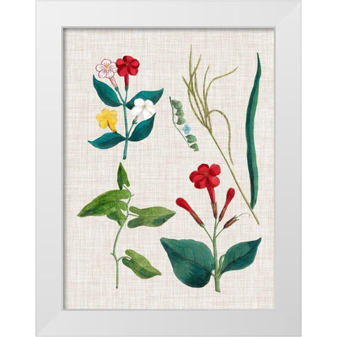 Floral Assemblage III White Modern Wood Framed Art Print by Vision Studio