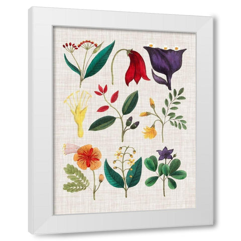 Floral Assemblage IV White Modern Wood Framed Art Print by Vision Studio