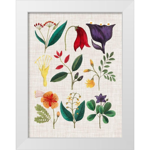 Floral Assemblage IV White Modern Wood Framed Art Print by Vision Studio