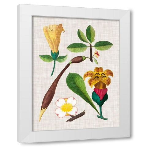 Floral Assemblage V White Modern Wood Framed Art Print by Vision Studio