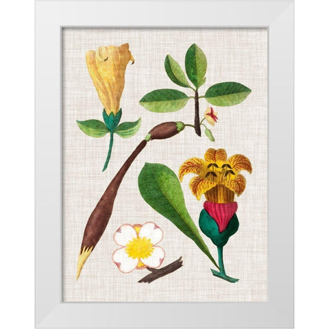 Floral Assemblage V White Modern Wood Framed Art Print by Vision Studio