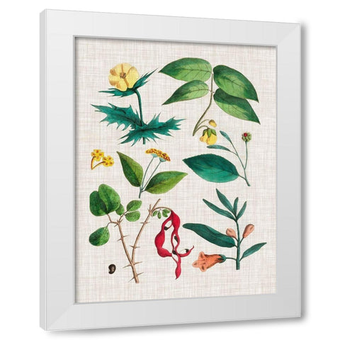 Floral Assemblage VI White Modern Wood Framed Art Print by Vision Studio