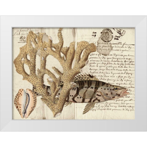 Sealife Journal II White Modern Wood Framed Art Print by Vision Studio